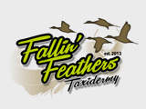 Fallin Feathers