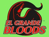 logo24